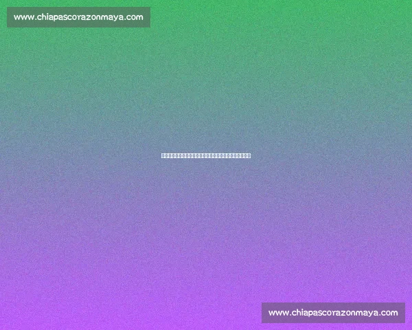 二年级同学们齐心协力参加校园拔河比赛的精彩回忆与感受