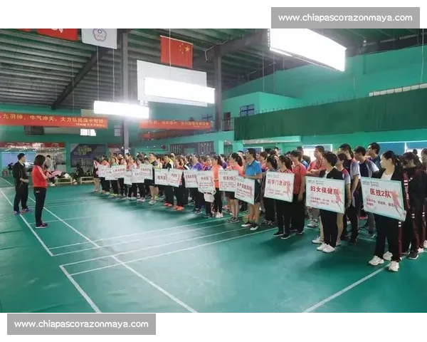 五羽轮比赛规则详解及参赛策略与实战指南