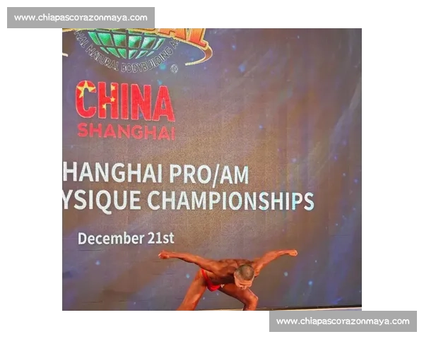 健美比赛音乐精选与选手表现完美结合的艺术之美探讨