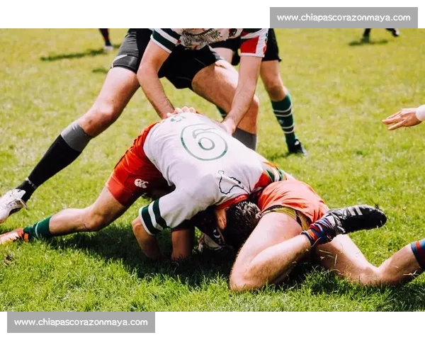 刘著精彩赛场表现引领比赛风潮彰显竞技精神与团队力量