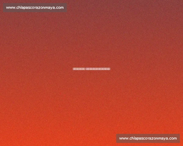 包子大赛风云再起 各地高手齐聚一堂争夺包子之王荣耀