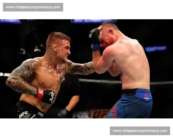 嘴炮康纳精彩对决视频集锦 展现拳击技艺与个人魅力