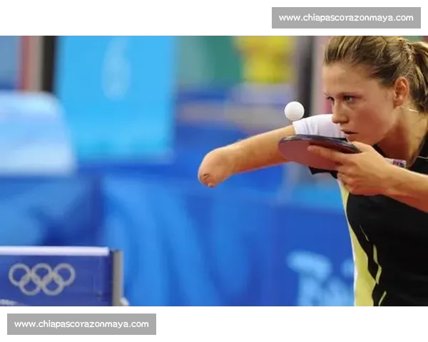 围绕帕蒂卡比赛展开的战术博弈与赛场激情全景观察深度解析与走势