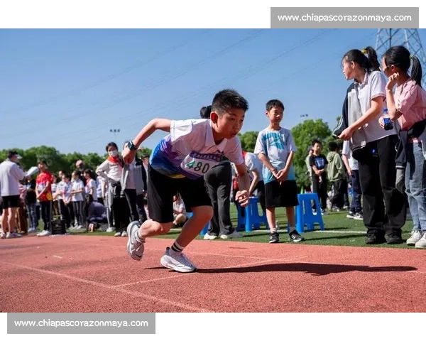 奔向胜利的赛道 400米跑道上的拼搏与荣耀