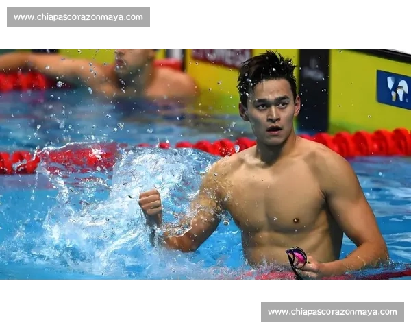 孙杨激战泳池瞬间定格彰显运动精神与坚持不懈的力量