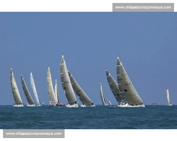 巩贺精彩比赛视频全程回顾 感受每一刻激情与挑战