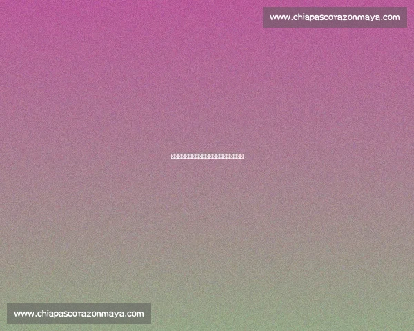 我在跑道上的拼搏与坚持记一次难忘的跑步比赛 我在跑道上的拼搏与坚持记一次难忘的跑步比赛