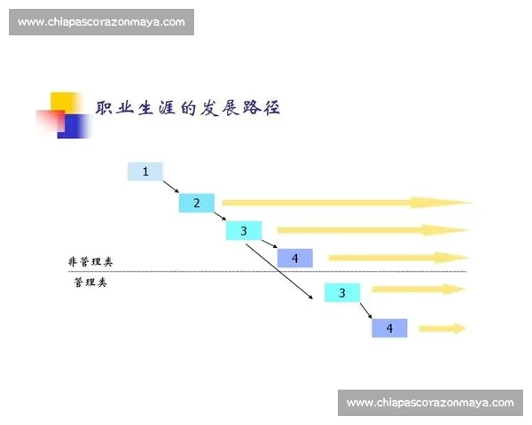 从青训到职业赛场：体育职业路径的规划与发展解析