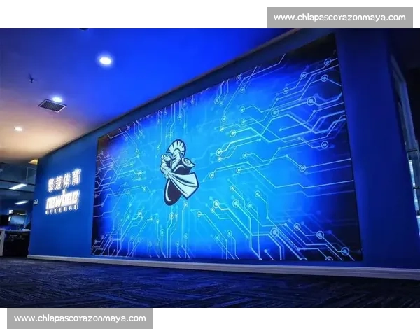 以电竞职业发展为核心规划未来成长路径的全面指南