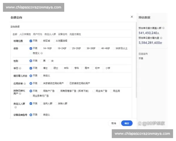 企业广告投放策略与效果分析：如何精准触达目标用户提升品牌影响力