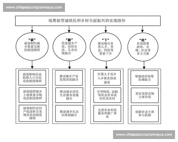 体育专项训练的科学方法与个性化发展路径研究探索
