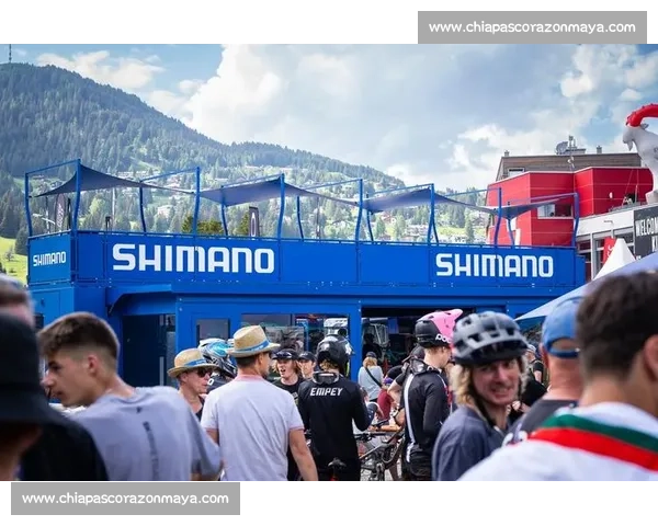 打造全球顶级体育赛事品牌：跨界合作与创新策略的全新探索