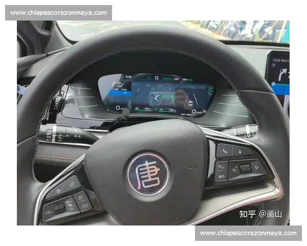 比亚迪唐极速挑战赛道加速表现全面解析